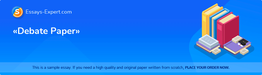 «Debate Paper»